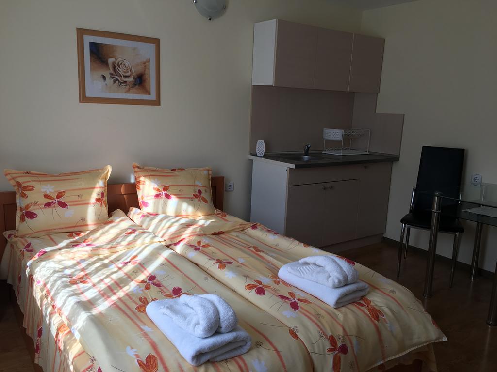 Triglav Edelweiss Guest House Pavel Banya Luaran gambar